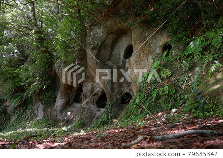 浪漫的茨城縣（十五郎橫穴古墳區，位於虎塚古墳週邊。讓人回想起古代的記憶。）常陸那珂市 79685342