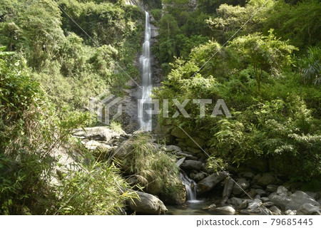 陽光明媚，綠意盎然，瀑布一路流向山野山谷。 79685445
