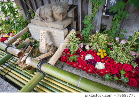 Kitano Tenmangu's Hanatemizu 79685773