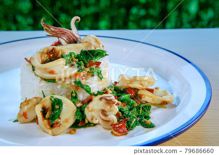 ready to eat of squid fried with basil and red chilly by thai street food style ready to eat of squid fried with basil and red chilly by thai street food style 79686660