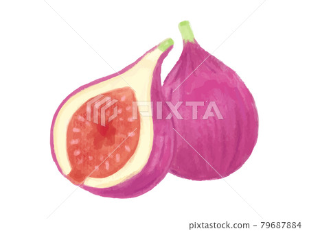 色鉛筆手繪秋季食品無花果插畫 色鉛筆手繪秋季食品無花果插畫 79687884