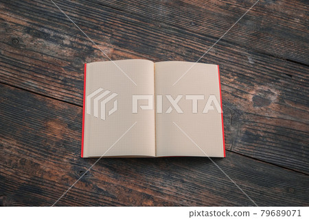 One notebook [outdoors in natural light] 79689071