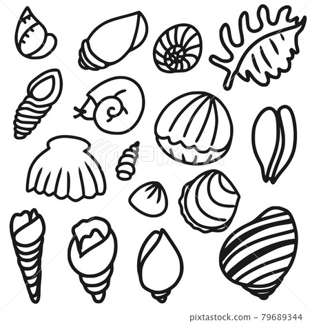 Hand drawn collection of various mollusk seashells different forms for coloring book Hand drawn collection of various mollusk seashells different forms for coloring book 79689344