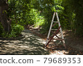 A style ladder in garden with copy space text 79689353