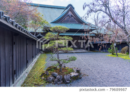 (Shizuoka Prefecture) Cherry blossoms blooming at the Egawa Residence, main building, an important cultural property of Izunokuni City 79689987