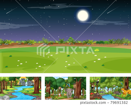 Set of different nature horizontal scene with various wild animals Set of different nature horizontal scene with various wild animals 79691382