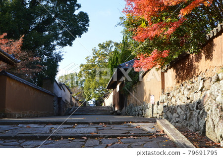 Slope of the counter (Kitsuki Castle Castle Town / Kitsuki, Kitsuki City, Oita Prefecture) Slope of the counter (Kitsuki Castle Castle Town / Kitsuki, Kitsuki City, Oita Prefecture) 79691795