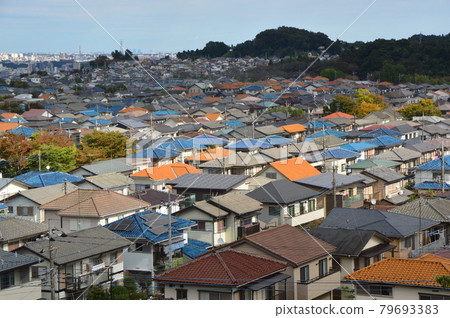 This is what the Hachioji Yarimizu Silk Road looks like in autumn. 79693383