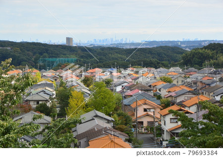 This is what the Hachioji Yarimizu Silk Road looks like in autumn. 79693384
