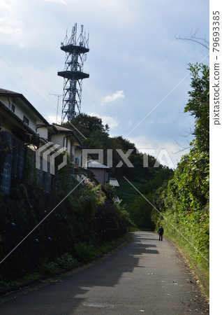 This is what the Hachioji Yarimizu Silk Road looks like in autumn. 79693385