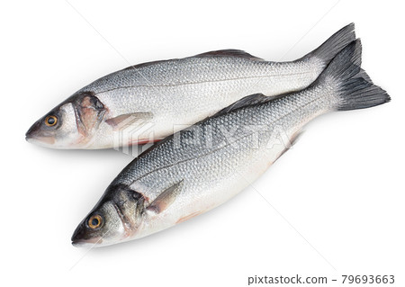 Sea bass fich isolated on white background with clipping path. Top view. Flat lay 79693663