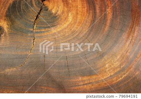 wood textured board use for background wood textured board use for background 79694191
