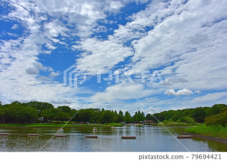 夏日風景 夏日風景 79694421