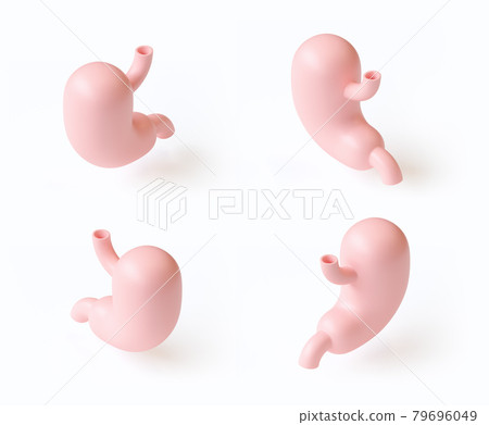 3d illustration of stylized set of human stomachs isolated on white  79696049
