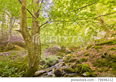 Sierra de la Demanda Protected Area, La Rioja, Spain Sierra de la Demanda Protected Area, La Rioja, Spain 79696212