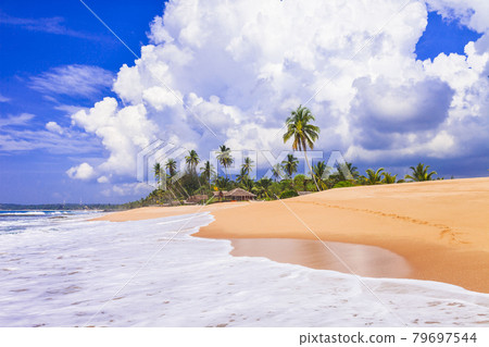Beautiful wild beaches of Sri Lanka. tranquil Tangale, south of island 79697544