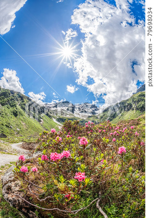Amazing nature under glacier Kitzsteinhorn in KaprunZell am See, during spring time in Austria Amazing nature under glacier Kitzsteinhorn in KaprunZell am See, during spring time in Austria 79698034