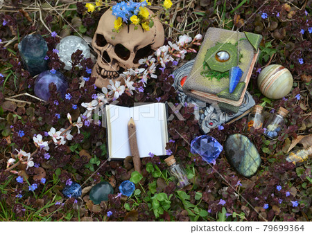 Beltane still life with skull, witch book, crystal stones and spring flowers outside. Esoteric, gothic and occult background, Halloween mystic and wicca concept.  79699364