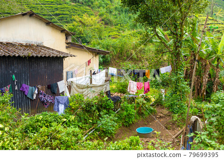 Poor dilapidated houses of the inhabitants of the island of Sri Lanka. Jungle lodging Poor dilapidated houses of the inhabitants of the island of Sri Lanka. Jungle lodging 79699395