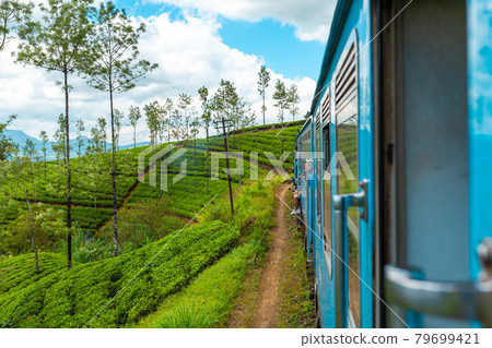 Travel by public train around the island of Sri Lanka. The train travels through mountains and tea plantations. Scenic railway 79699421