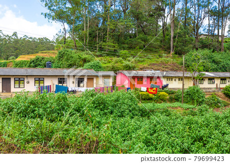 Poor dilapidated houses of the inhabitants of the island of Sri Lanka. Jungle lodging Poor dilapidated houses of the inhabitants of the island of Sri Lanka. Jungle lodging 79699423