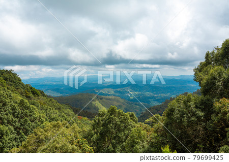 Nature breathtaking landscape of the island of Sri Lanka 79699425