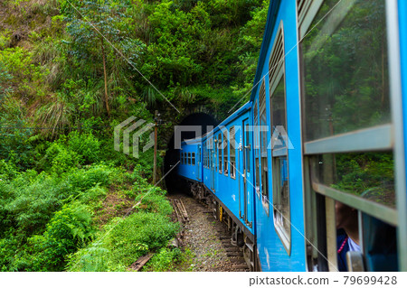 A blue passenger train moves through the jungle of Sri Lanka A blue passenger train moves through the jungle of Sri Lanka 79699428