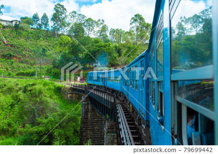 A blue passenger train moves through the jungle of Sri Lanka 79699442