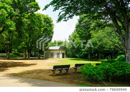 Bench in the shade of a tree Otsuka Toshikatsudo Ruins Park (Kohoku New Town, Tsuzuki Ward, Yokohama City, Kanagawa Prefecture) Bench in the shade of a tree Otsuka Toshikatsudo Ruins Park (Kohoku New Town, Tsuzuki Ward, Yokohama City, Kanagawa Prefecture) 79699940