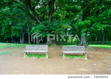 樹蔭下的長椅 大塚/利勝堂遺址公園（神奈川縣橫濱市都築區港北新城） 79699945