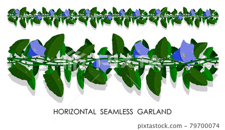 Green liana blooming with blue flowers for decorating of frames, invitation cards. Isolated vector on white background Green liana blooming with blue flowers for decorating of frames, invitation cards. Isolated vector on white background 79700074