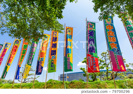相撲名古屋賽場,飄揚的相撲旗幟(愛知縣名古屋市) 相撲名古屋賽場,飄揚的相撲旗幟(愛知縣名古屋市) 79700296