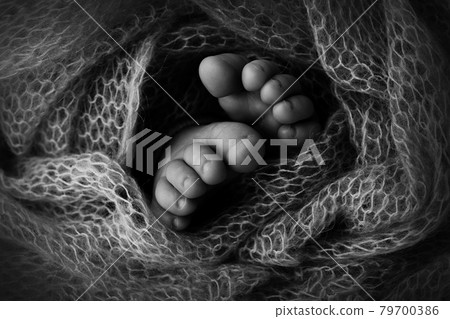 Feet of a newborn close-up in a woolen blanket. Pregnancy, motherhood, preparation and expectation of motherhood, the concept of the birth of a child. Black and white photography. Feet of a newborn close-up in a woolen blanket. Pregnancy, motherhood, preparation and expectation of motherhood, the concept of the birth of a child. Black and white photography. 79700386