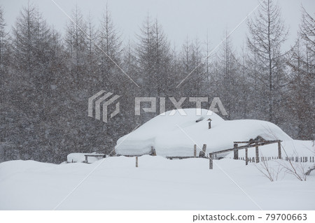 Snowfall and large snowdrifts in the village 79700663