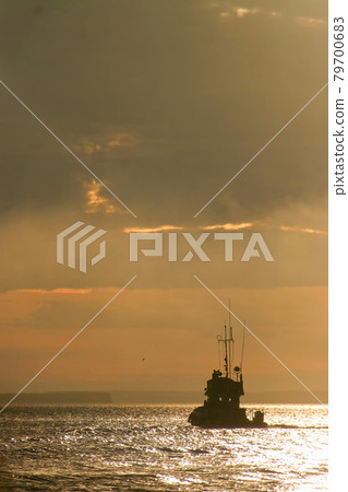 Evening landscape with a small ship sailing along the estuary. 79700683