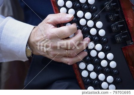 Old man street musician hand strikes a chord on an accordion 79701695