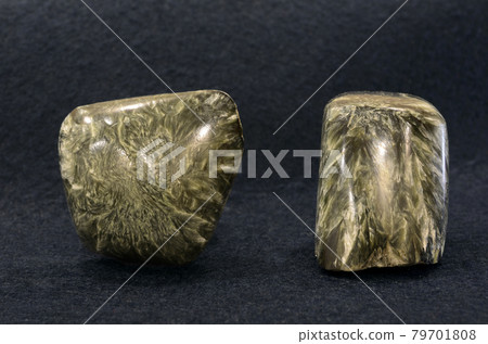 Clouse-up of gray-yellow seraphinite mineral from Irkutskaya Oblast of Eastern Siberia, on gray background 79701808