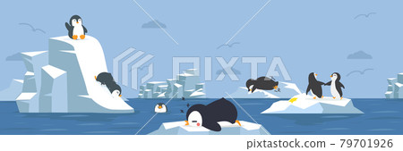 Penguins animals with arctic background 79701926