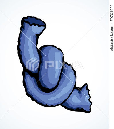 The lace is tied to a knot. Vector drawing The lace is tied to a knot. Vector drawing 79701953