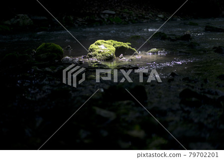Stones in the water taken close-up, karst river on a sunny day Stones in the water taken close-up, karst river on a sunny day 79702201