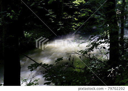 Mist rising over river at dawn. Mist rising over river at dawn. 79702202