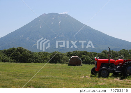 Mount Yotei 79703346