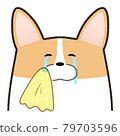 Corgi crying tears of joy 79703596