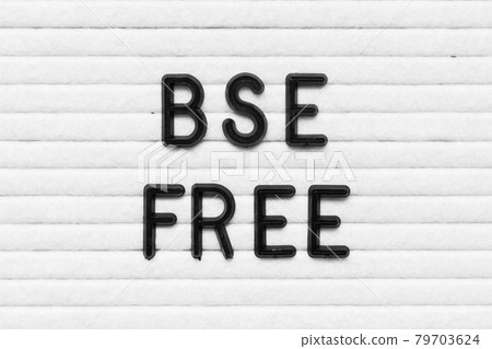 Black alphabet letter in word BSE (bovine spongiform encephalopathy) free on white felt board background 79703624