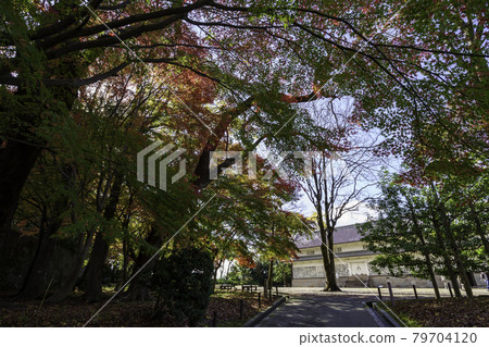 秋天的金澤之旅、紅葉的金澤城公園、三十六間長屋 秋天的金澤之旅、紅葉的金澤城公園、三十六間長屋 79704120