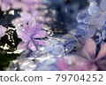 Water market 79704252