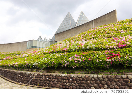 Nima Sand Museum in Spring Nima Sand Museum in Spring 79705891