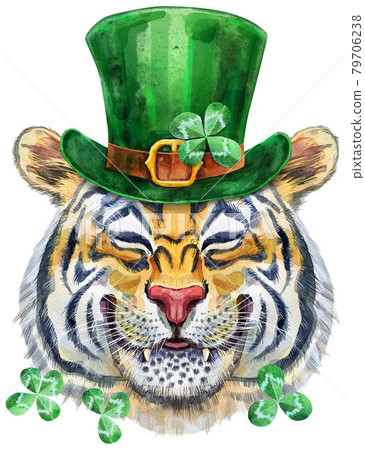 Colorful orange smiling tiger wearing a green leprechaun hat. Wild animal watercolor illustration on white background Colorful orange smiling tiger wearing a green leprechaun hat. Wild animal watercolor illustration on white background 79706238