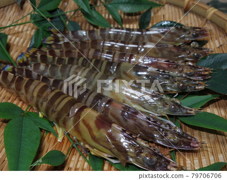 A lively prawn A lively prawn 79706706