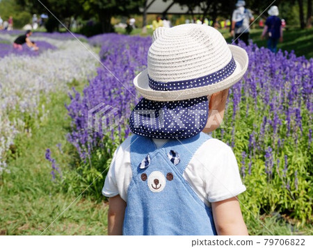 Toddler in a flower field Toddler in a flower field 79706822